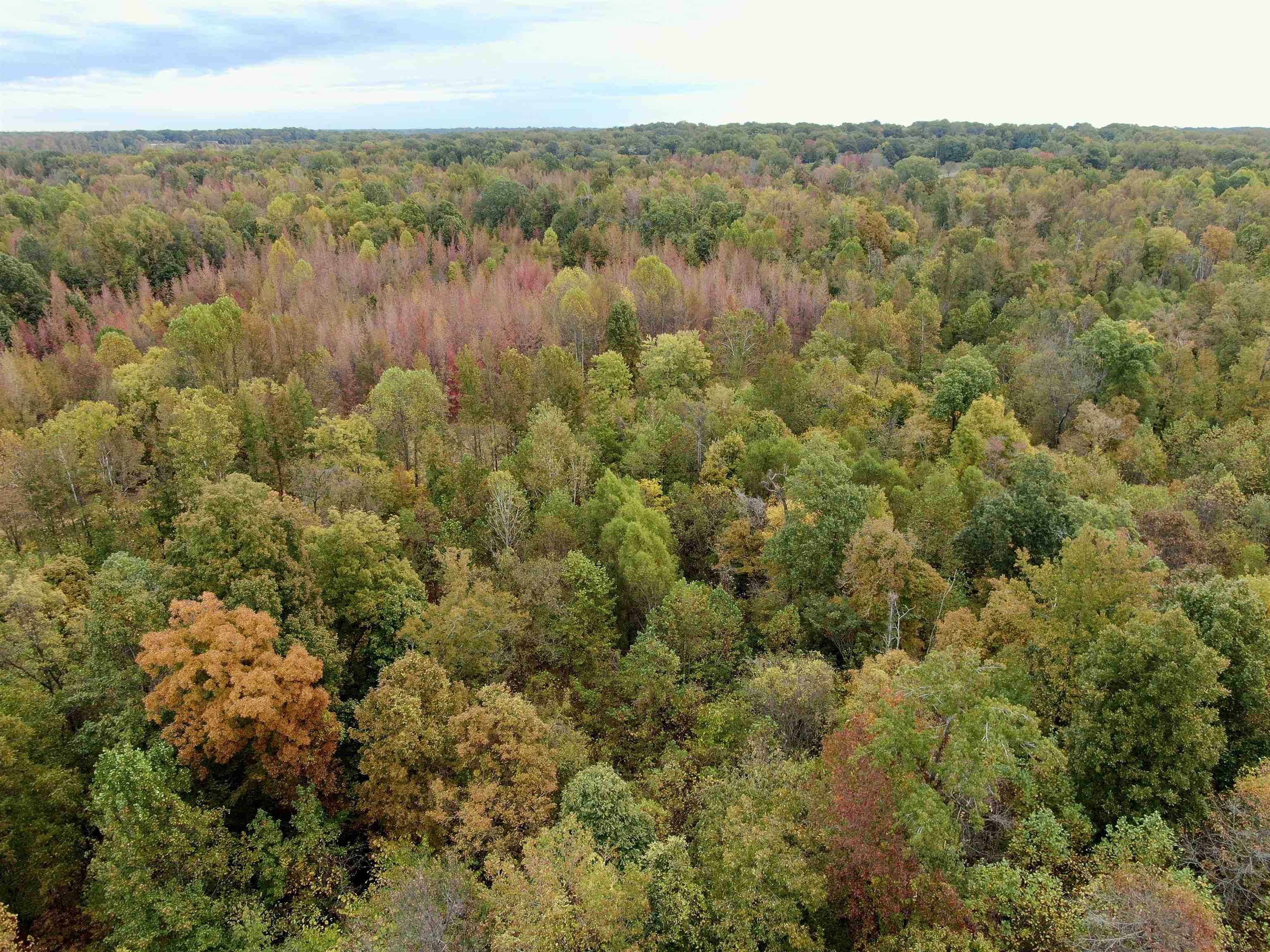 William Switch Road Ripley, TN 38063 - Photo 30 of 39