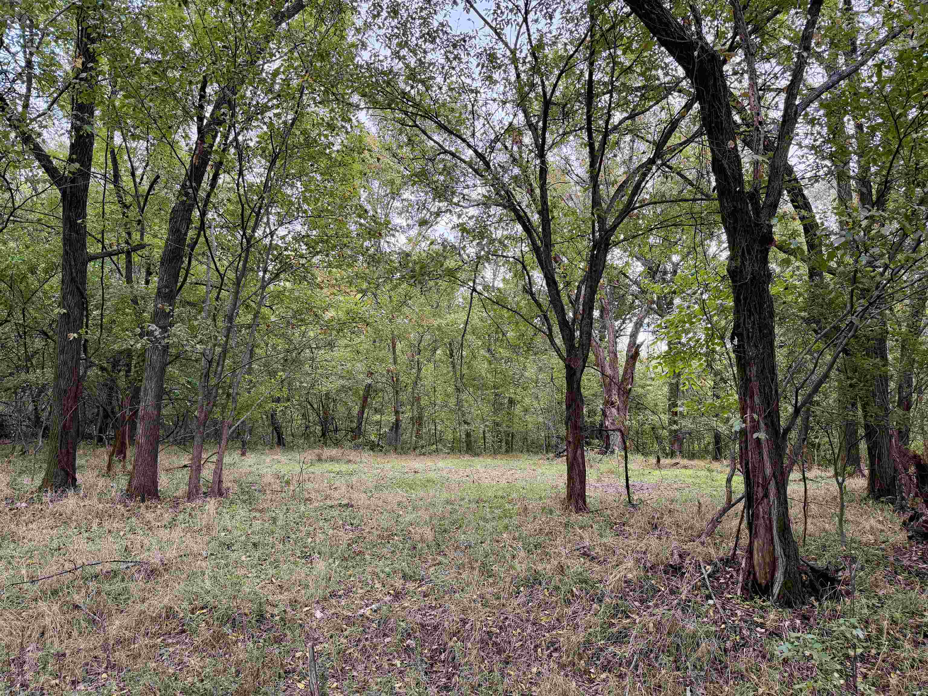 William Switch Road Ripley, TN 38063 - Photo 32 of 39