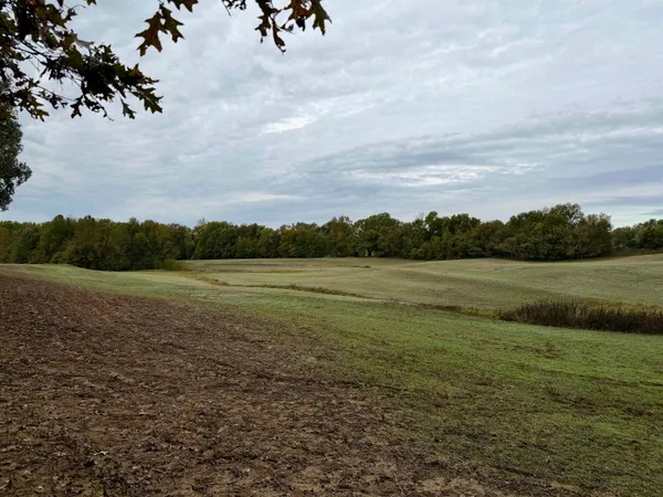 $543,165 | William Switch Road, Ripley, TN 38063