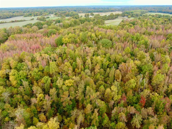 $543,165 | William Switch Road, Ripley, TN 38063