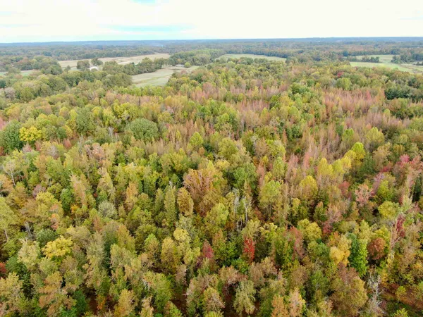 $543,165 | William Switch Road, Ripley, TN 38063