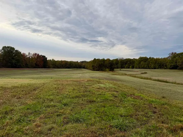 $543,165 | William Switch Road, Ripley, TN 38063