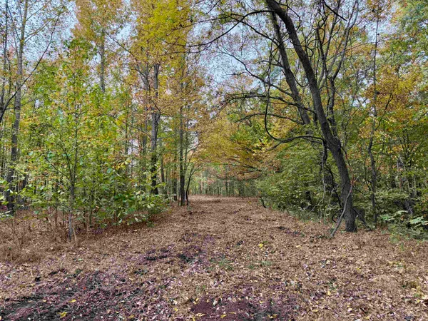 $543,165 | William Switch Road, Ripley, TN 38063