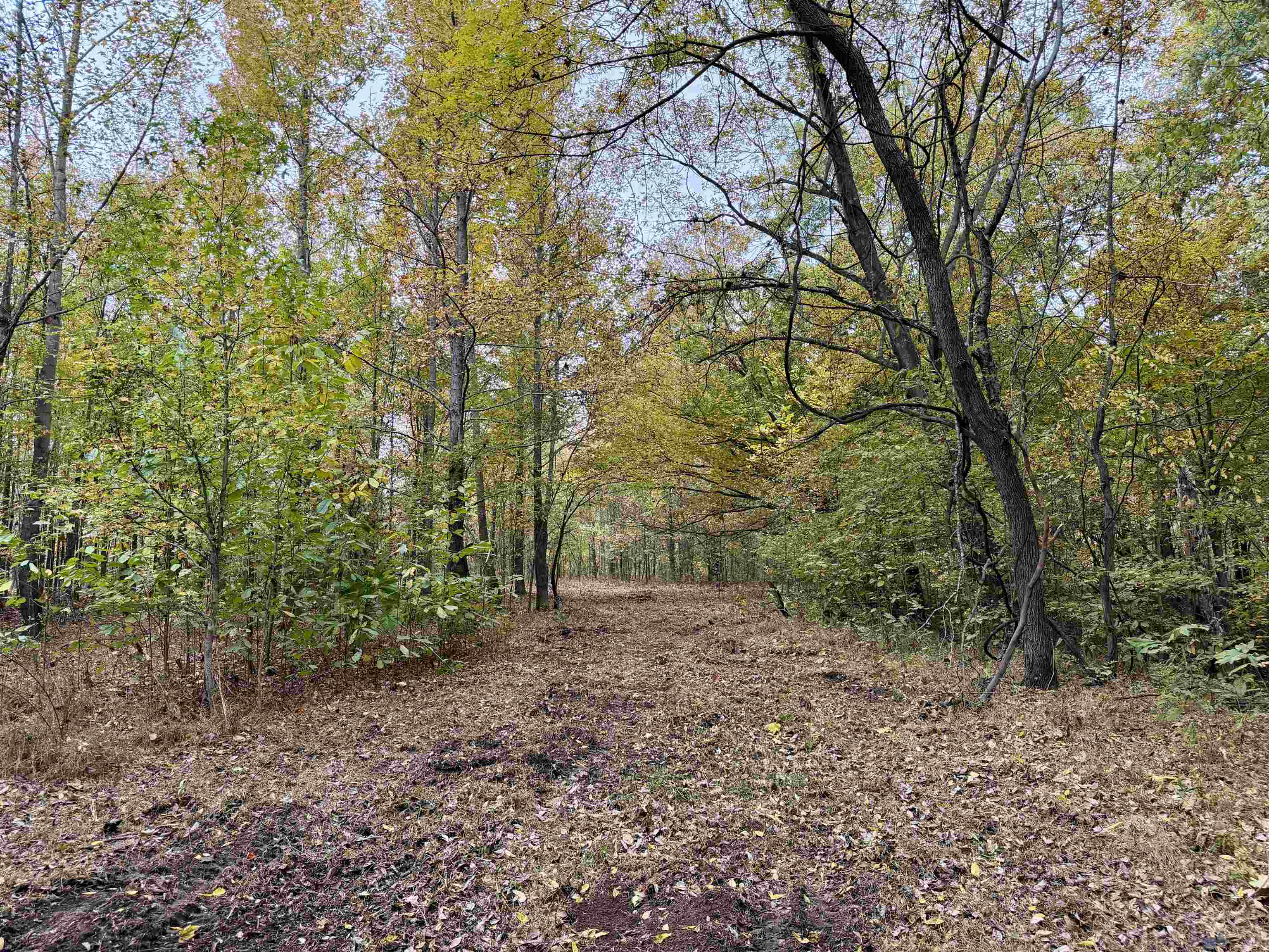 William Switch Road Ripley, TN 38063 - Photo 4 of 39