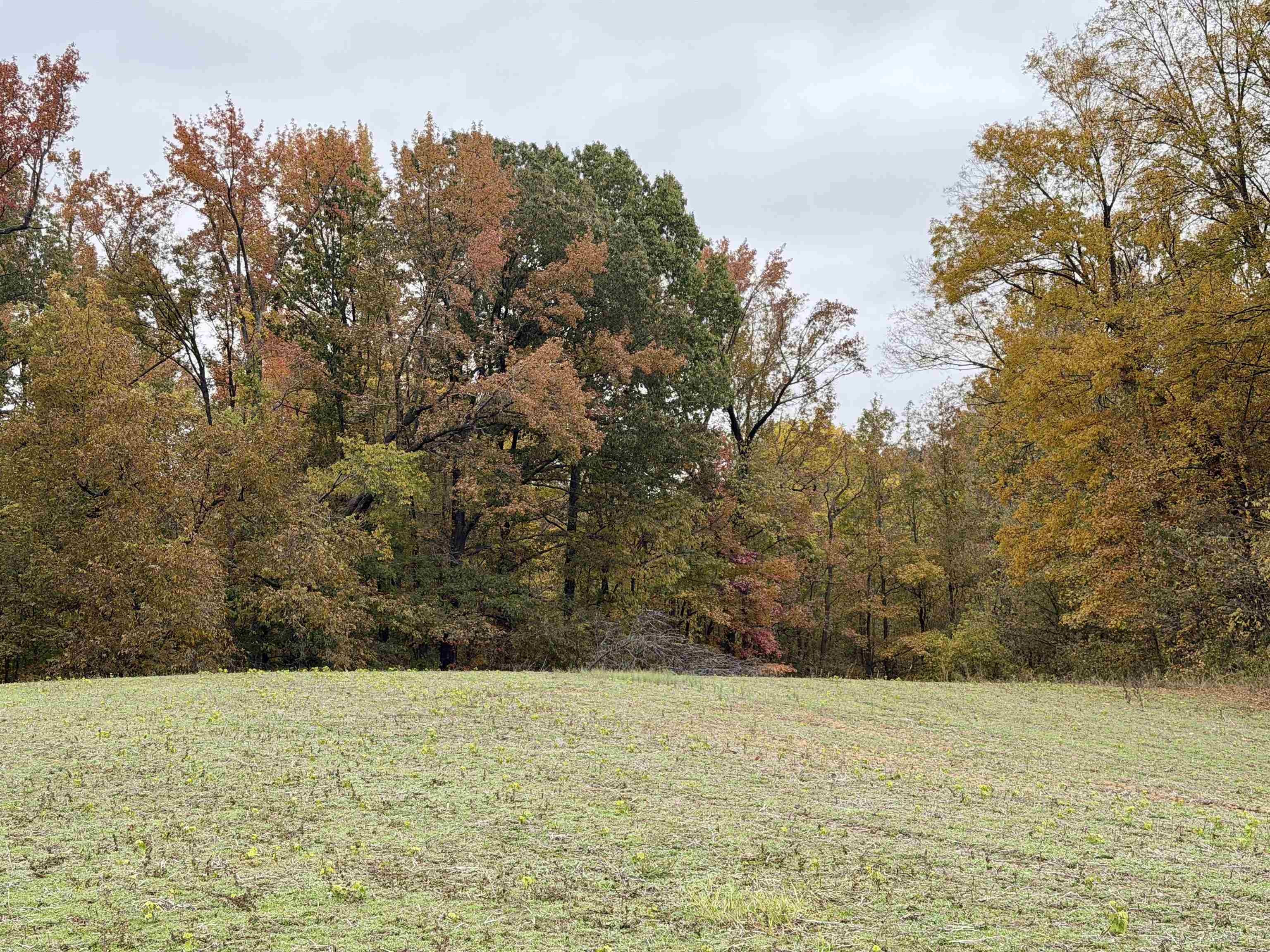 William Switch Road Ripley, TN 38063 - Photo 5 of 39