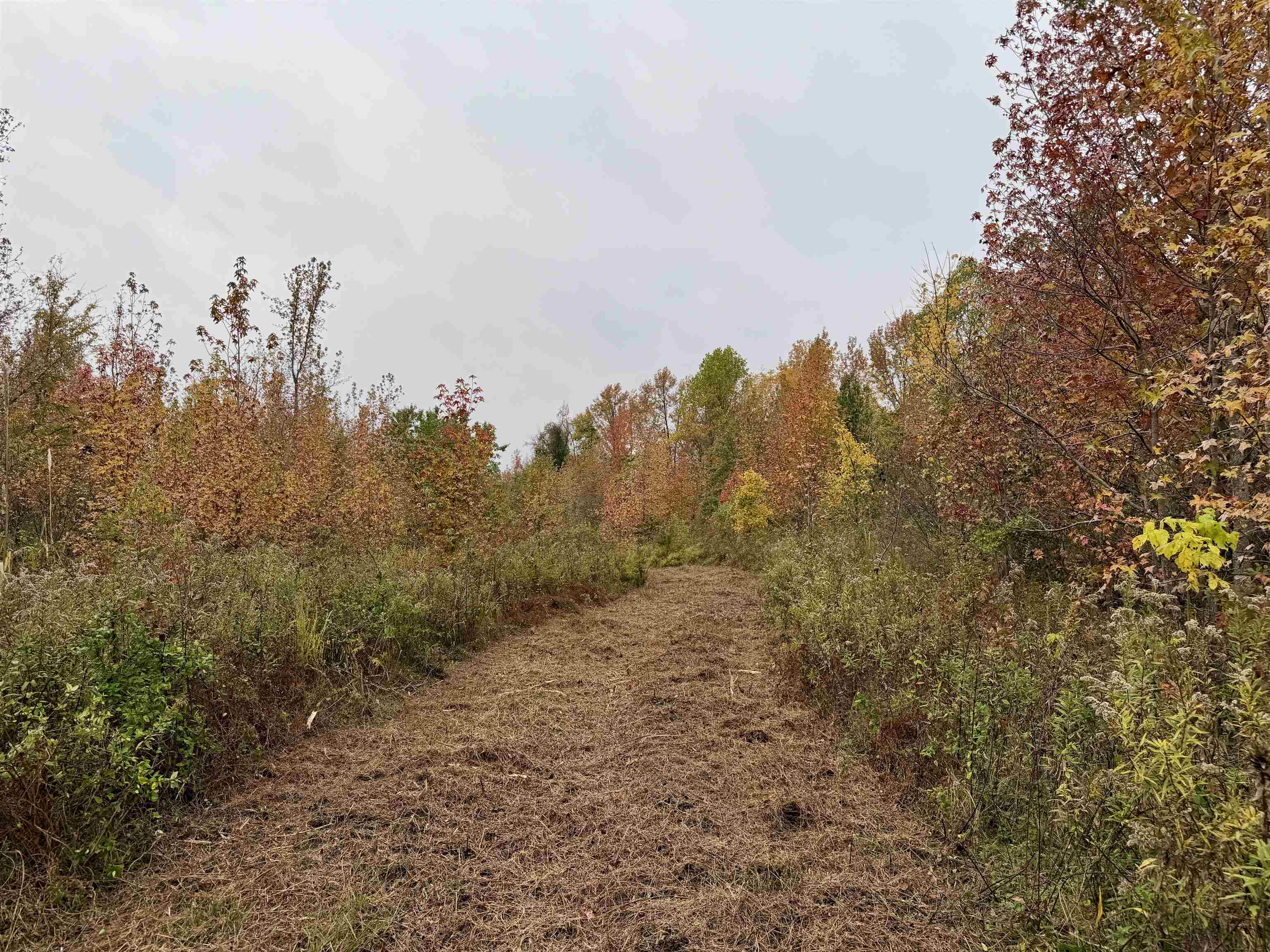 William Switch Road Ripley, TN 38063 - Photo 6 of 39