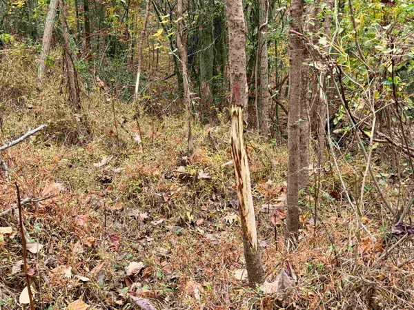 $543,165 | William Switch Road, Ripley, TN 38063