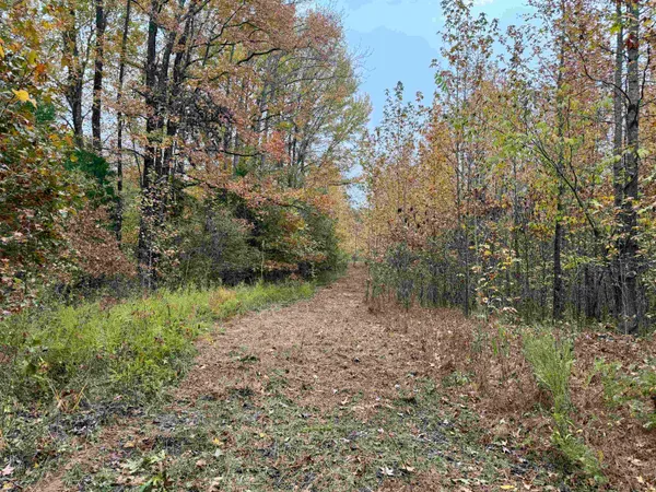 $543,165 | William Switch Road, Ripley, TN 38063