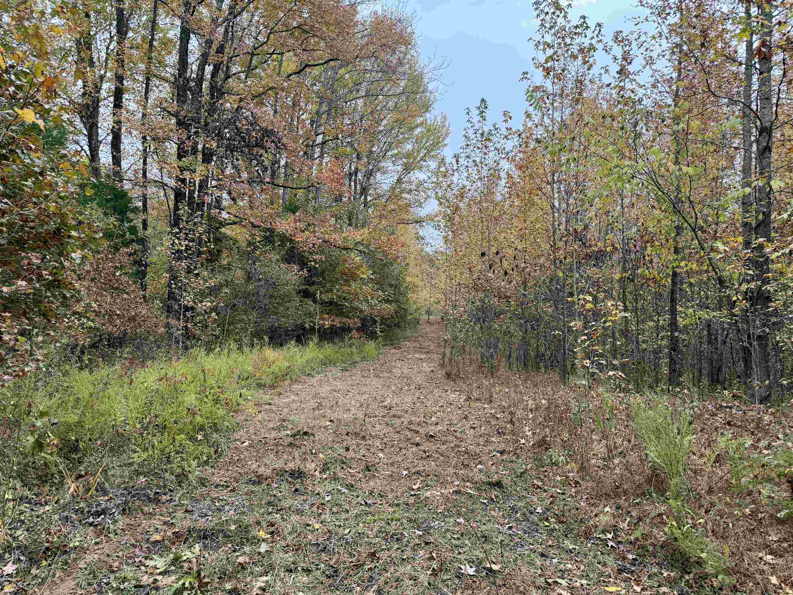 William Switch Road Ripley, TN 38063 - Photo 10 of 39