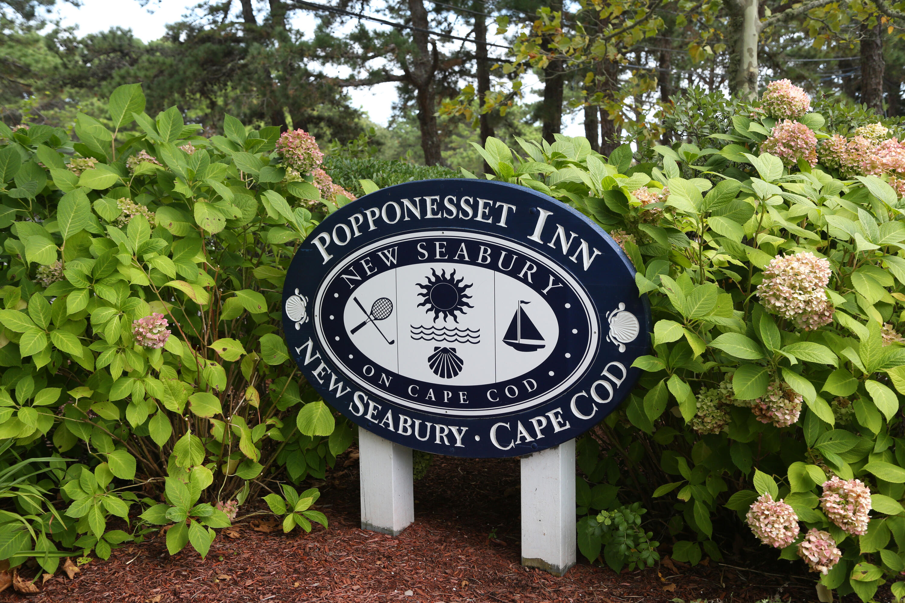 38 Summersea Road Mashpee, MA 02649 - Photo 54 of 64 a front view of a house with a garden