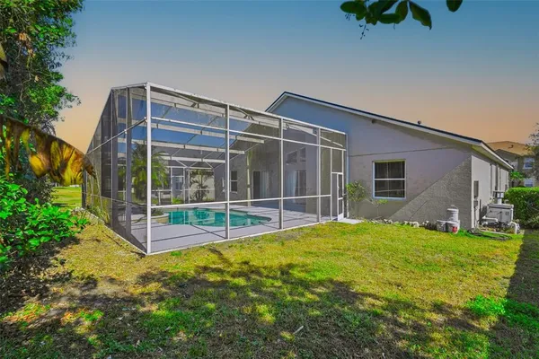 a view of a park with large trees and plants