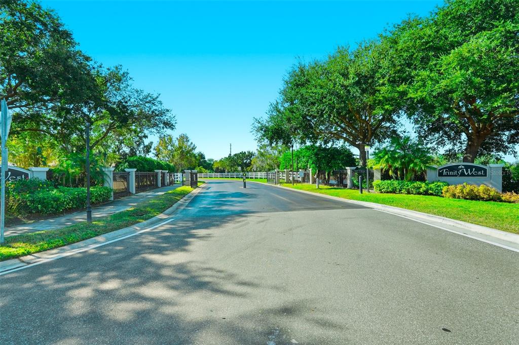 2807 Manning Drive Trinity, FL 34655 - Photo 39 of 48 a view of a park with large trees and plants