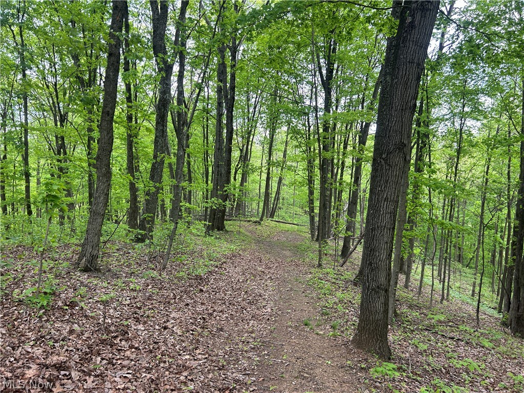 38975 Ogles Ridge Road Dexter City, OH 45727 - Photo 35 of 42