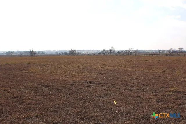a view of ocean with large trees
