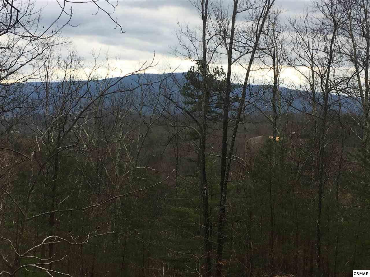 7 Stackstone Road Sevierville, TN 37862 - Photo 4 of 10