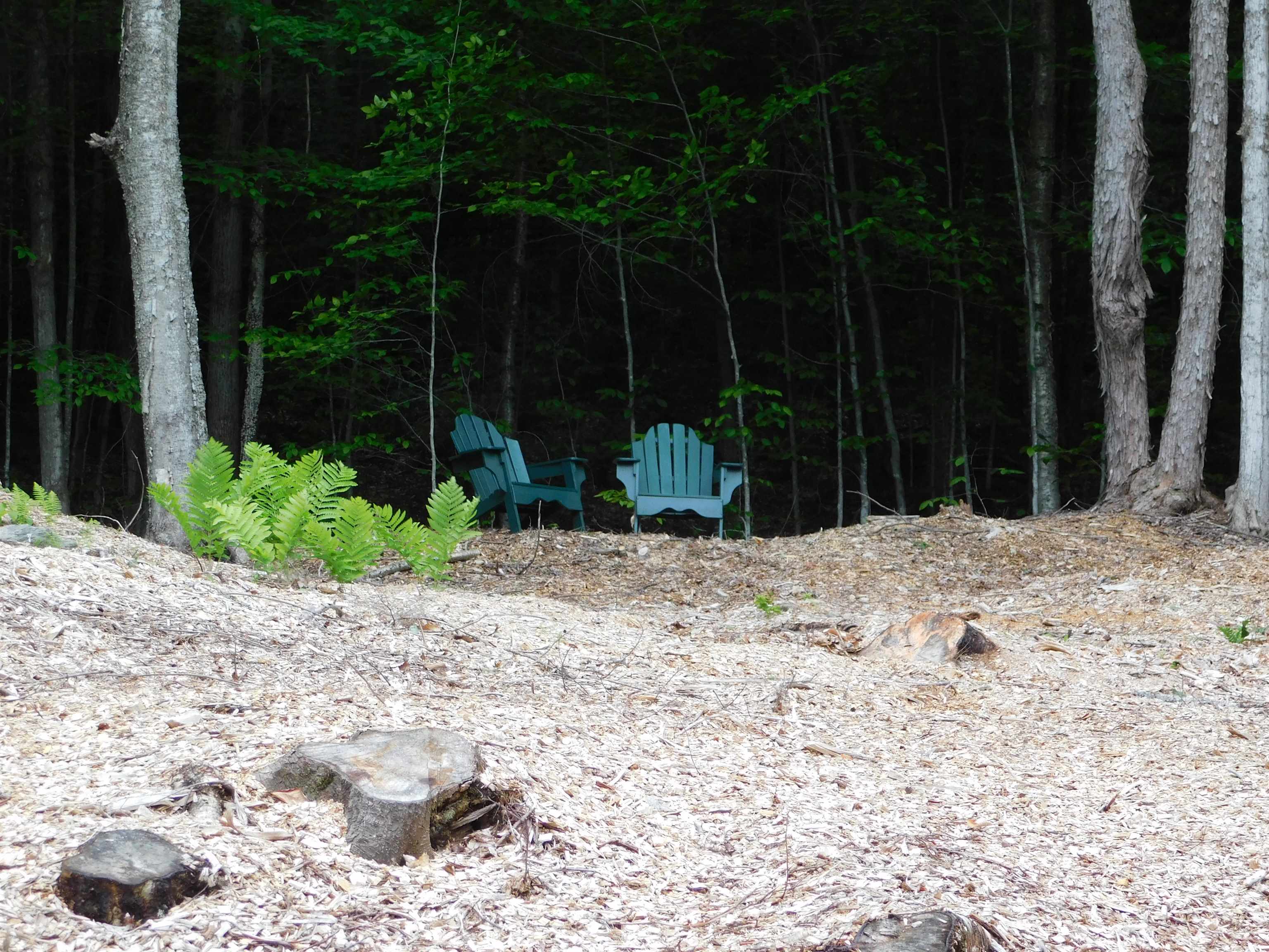 1591 Higley Hill Road Marlboro, VT 05363 - Photo 43 of 49 Gallery Image 43