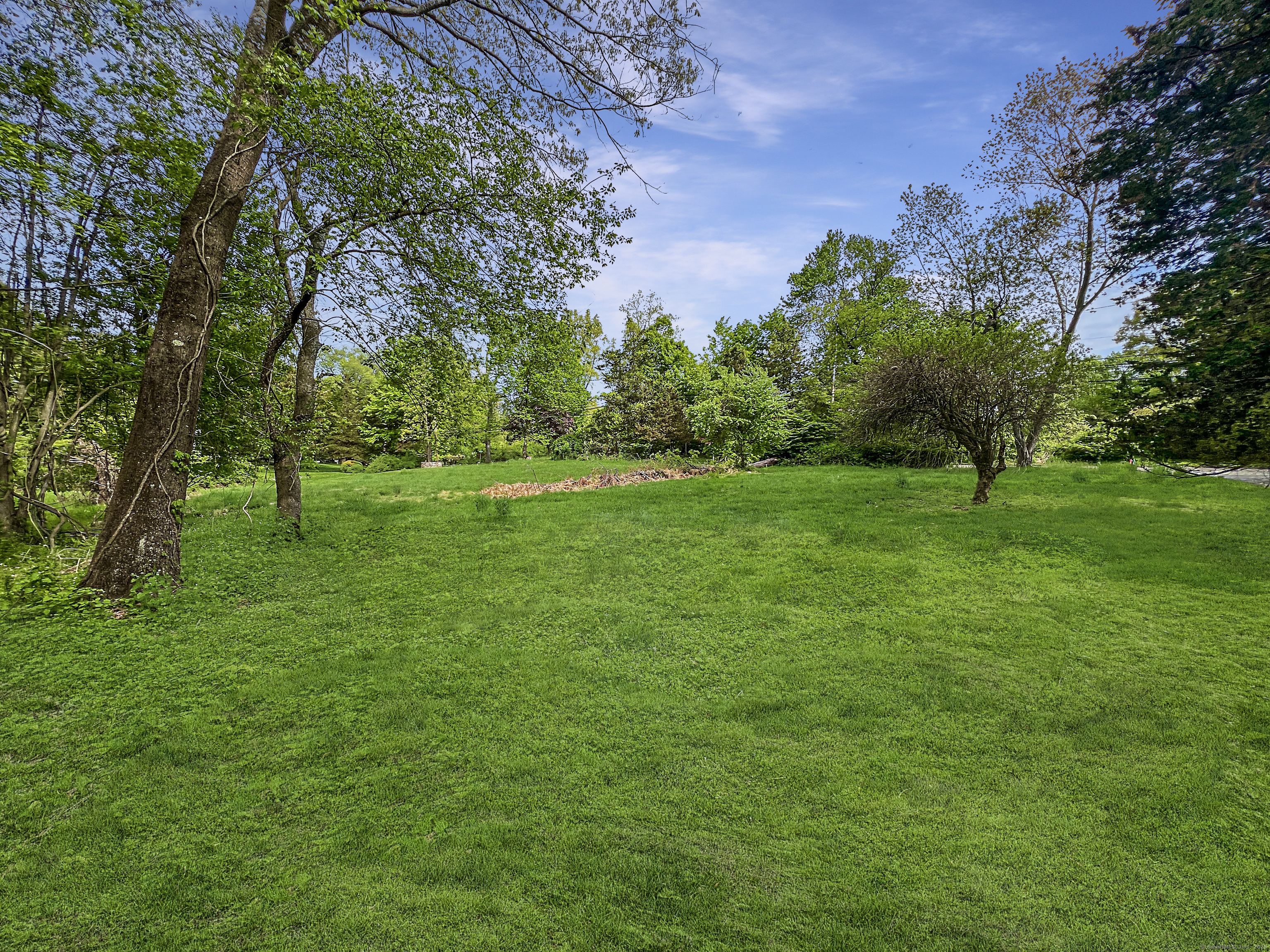 a view of a grassy field with trees