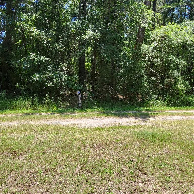 0 Mistletoe Lane Keithville, LA 71047 - Photo 3 of 5 a view of outdoor space and yard