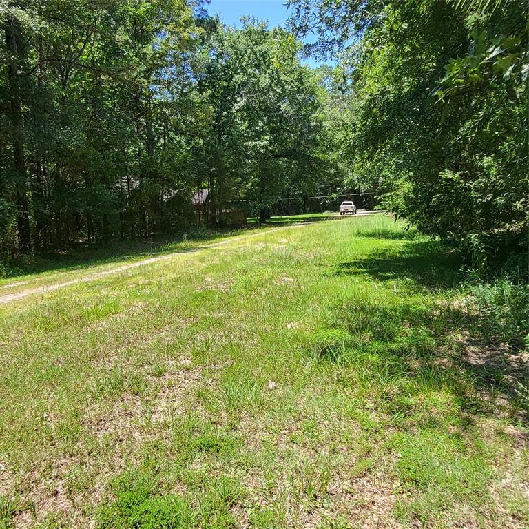 0 Mistletoe Lane Keithville, LA 71047 - Photo 4 of 5 a view of outdoor space with a garden and trees