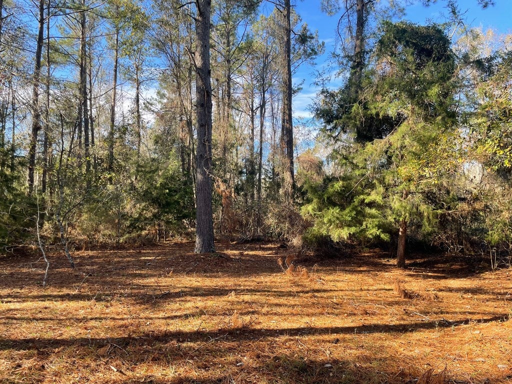 0 Pedrick Road Quitman, GA 31643 - Photo 6 of 14 Gallery Image 6