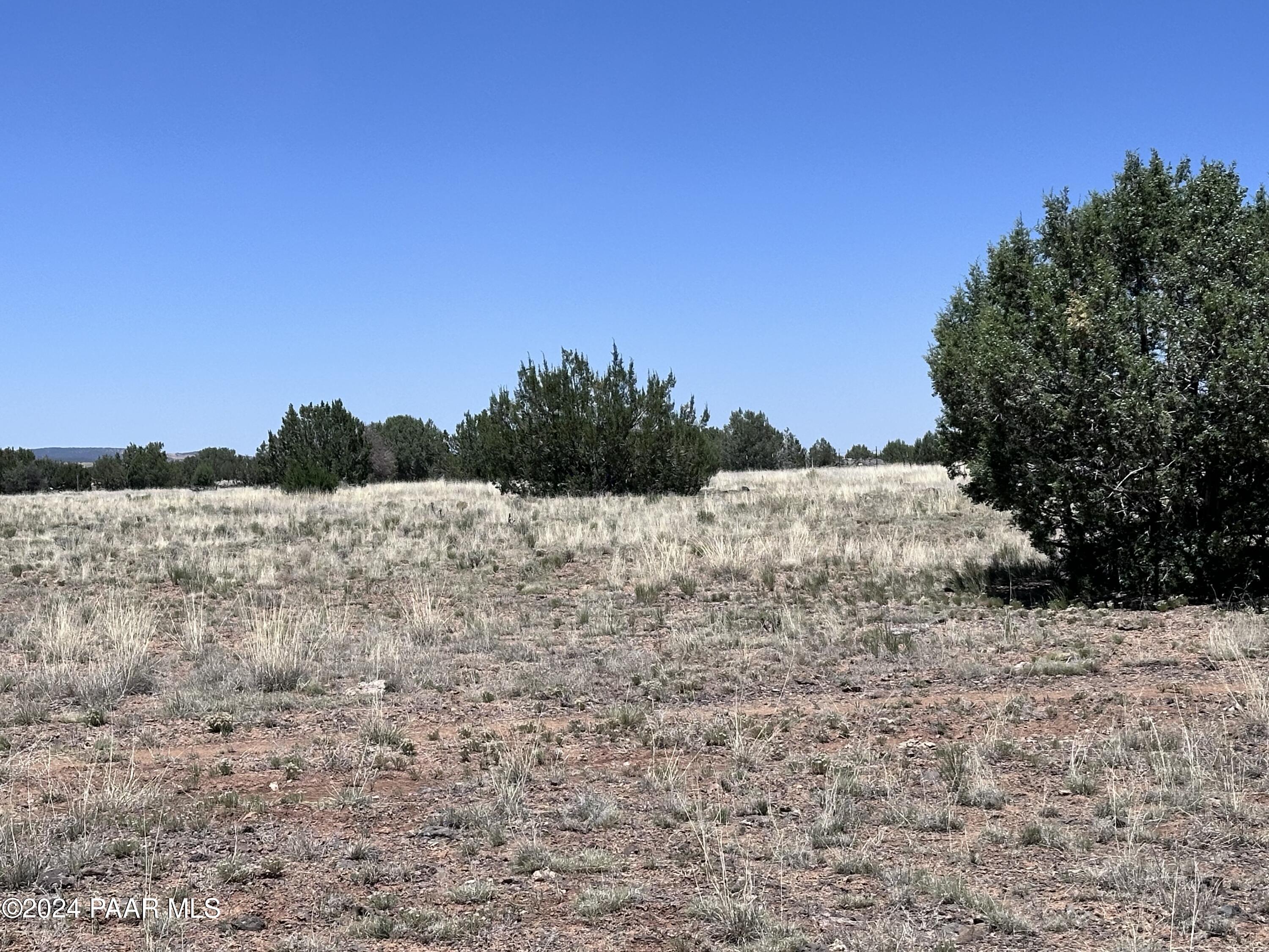 45300 Prairie Dog Road Ash Fork, AZ 86320 - Photo 3 of 9 45300 Prairie Dog Rd