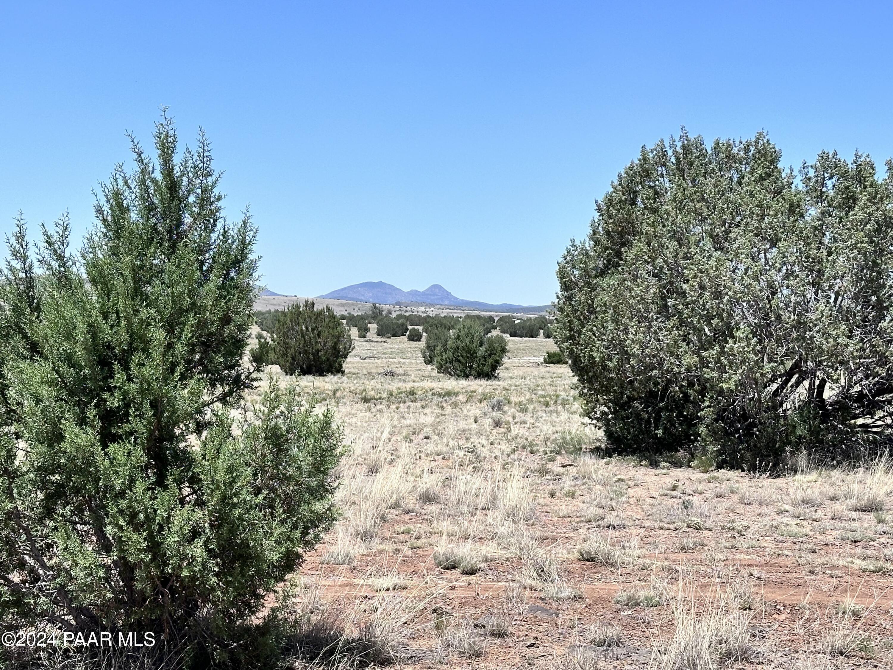 45300 Prairie Dog Road Ash Fork, AZ 86320 - Photo 6 of 9 45300 Prairie Dog Rd4