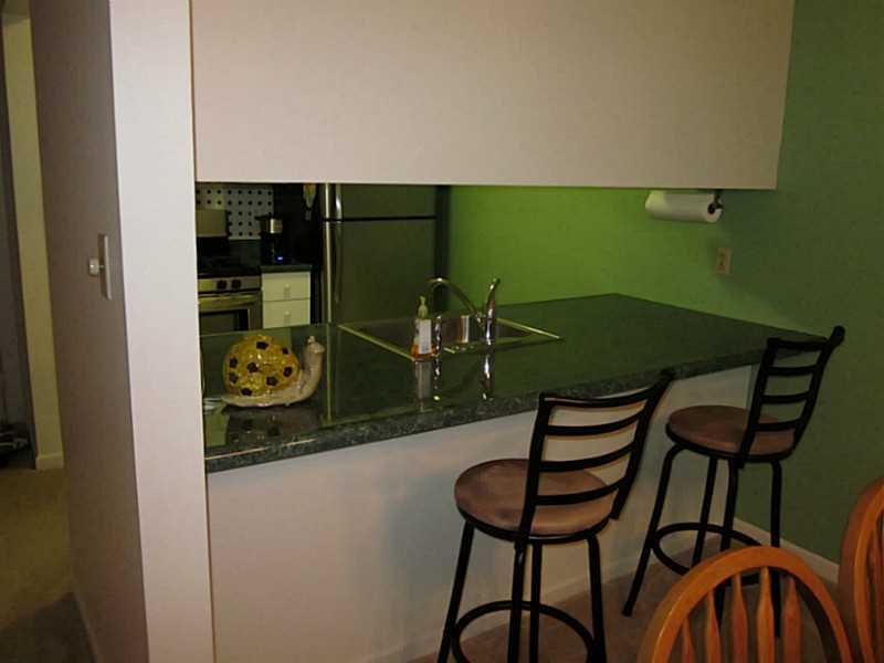 2445 Old Greentree Road, Unit 1B Carnegie, PA 15106 - Photo 6 of 15 Kitchen.
