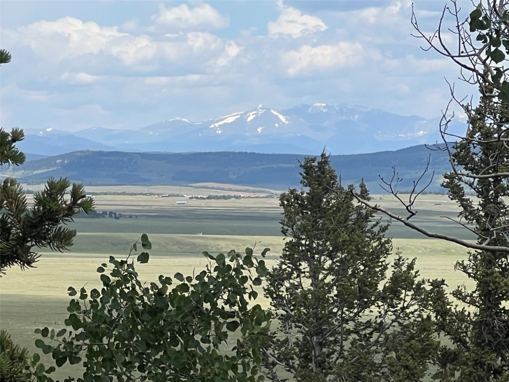 451 Sheep Ridge Road Fairplay, CO 80440 - Photo 24 of 32 Gallery Image 24