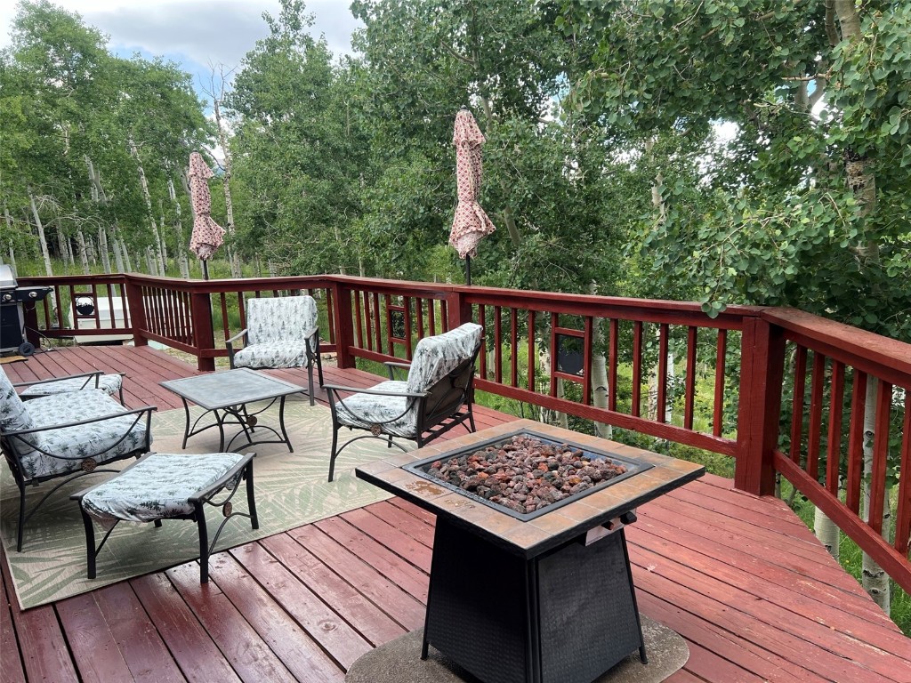 451 Sheep Ridge Road Fairplay, CO 80440 - Photo 4 of 32 Gallery Image 4
