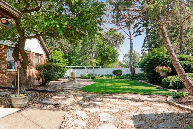 a backyard of a house with plants and large tree