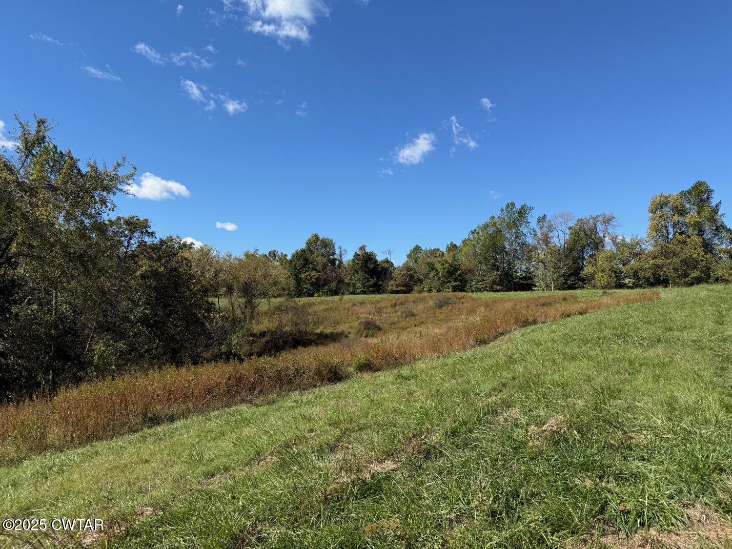 1380 Cleve Duke Road Hornbeak, TN 38232 - Photo 22 of 29 IMG_1880