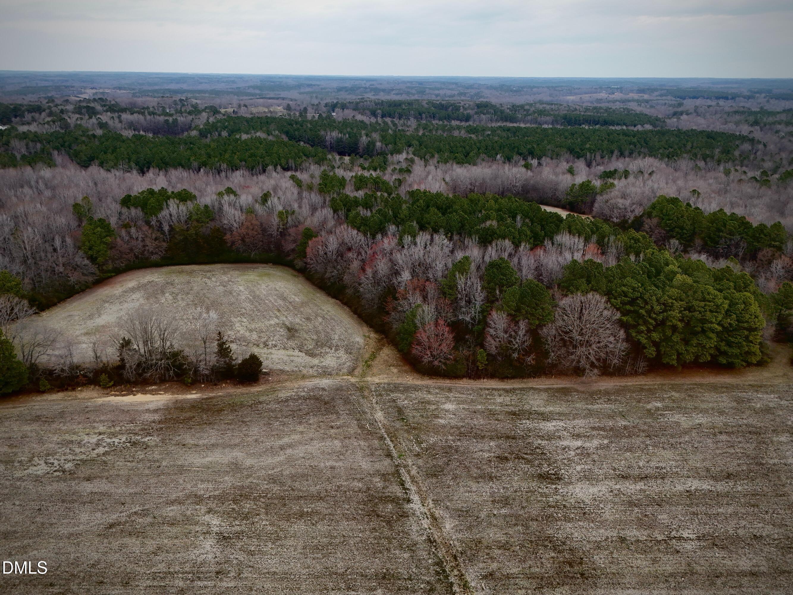 Lot 4 West River Road Franklinton, NC 27525 - Photo 3 of 7 Lot 4