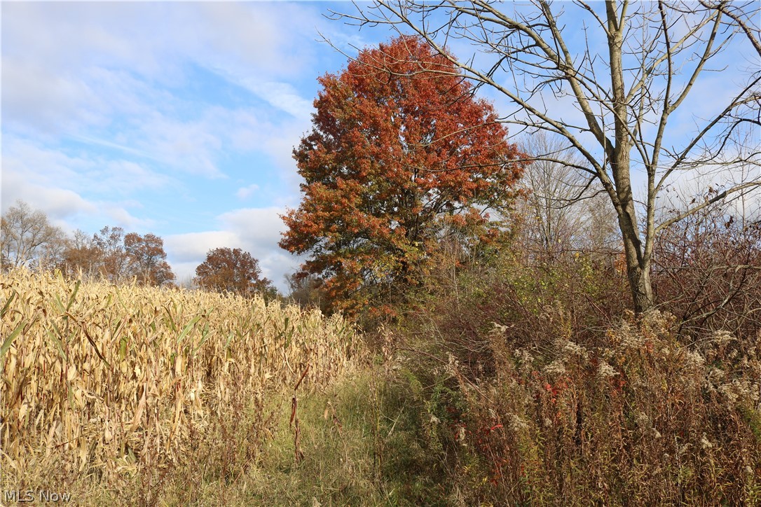 Vandemark Road Lodi, OH 44254 - Photo 15 of 32 Gallery Image 15