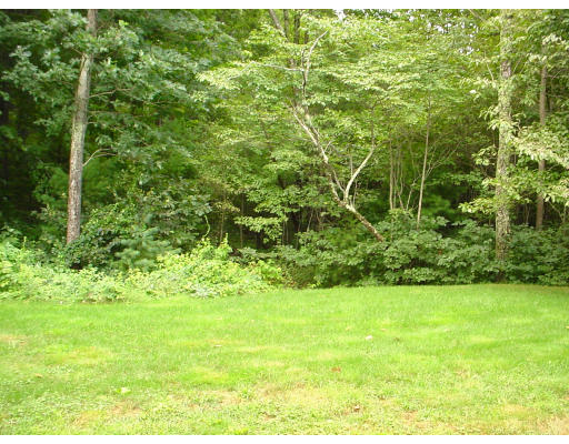 31 Cold Spring Drive, Unit C Sutton, MA 01590 - Photo 20 of 20 a view of yard with green space