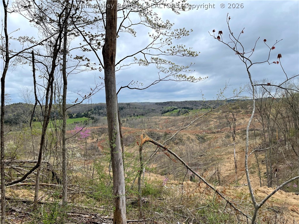 0 Cabin Rdg Road Leon, WV 25123 - Photo 4 of 13 View from the Cabin Ridge Rd Frontage