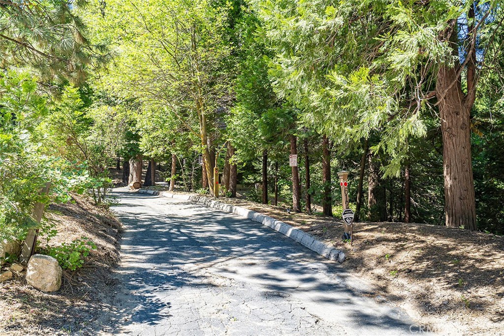 612 Karenken Pines Drive Lake Arrowhead, CA 92391 - Photo 34 of 44 a view of outdoor space with trees