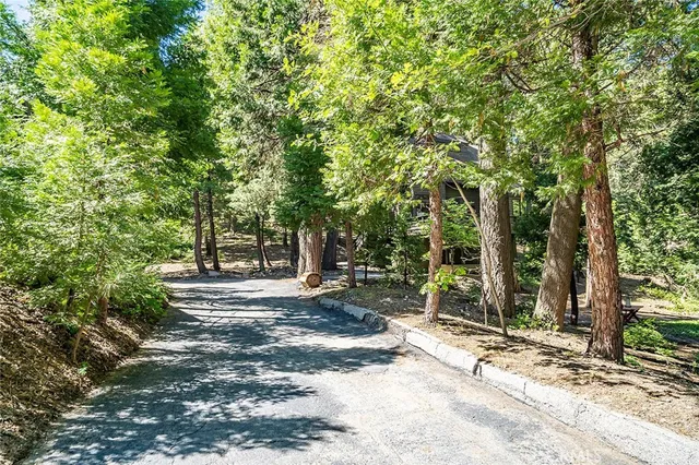 a view of a tree in the middle of a yard