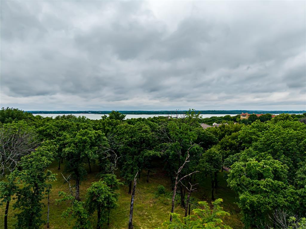 5901 Rue Jordan Flower Mound, TX 75022 - Photo 9 of 12