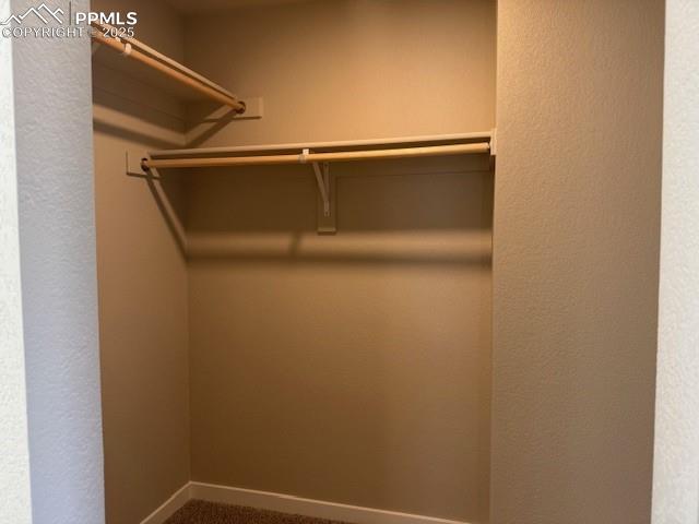 435 Atchison Way Calhan, CO 80808 - Photo 5 of 8 Walk in closet featuring carpet flooring