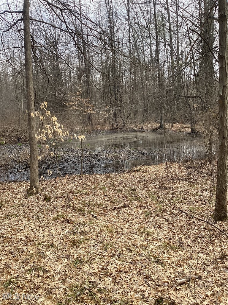 Fortney Road Orwell, OH 44076 - Photo 17 of 18 Gallery Image 17