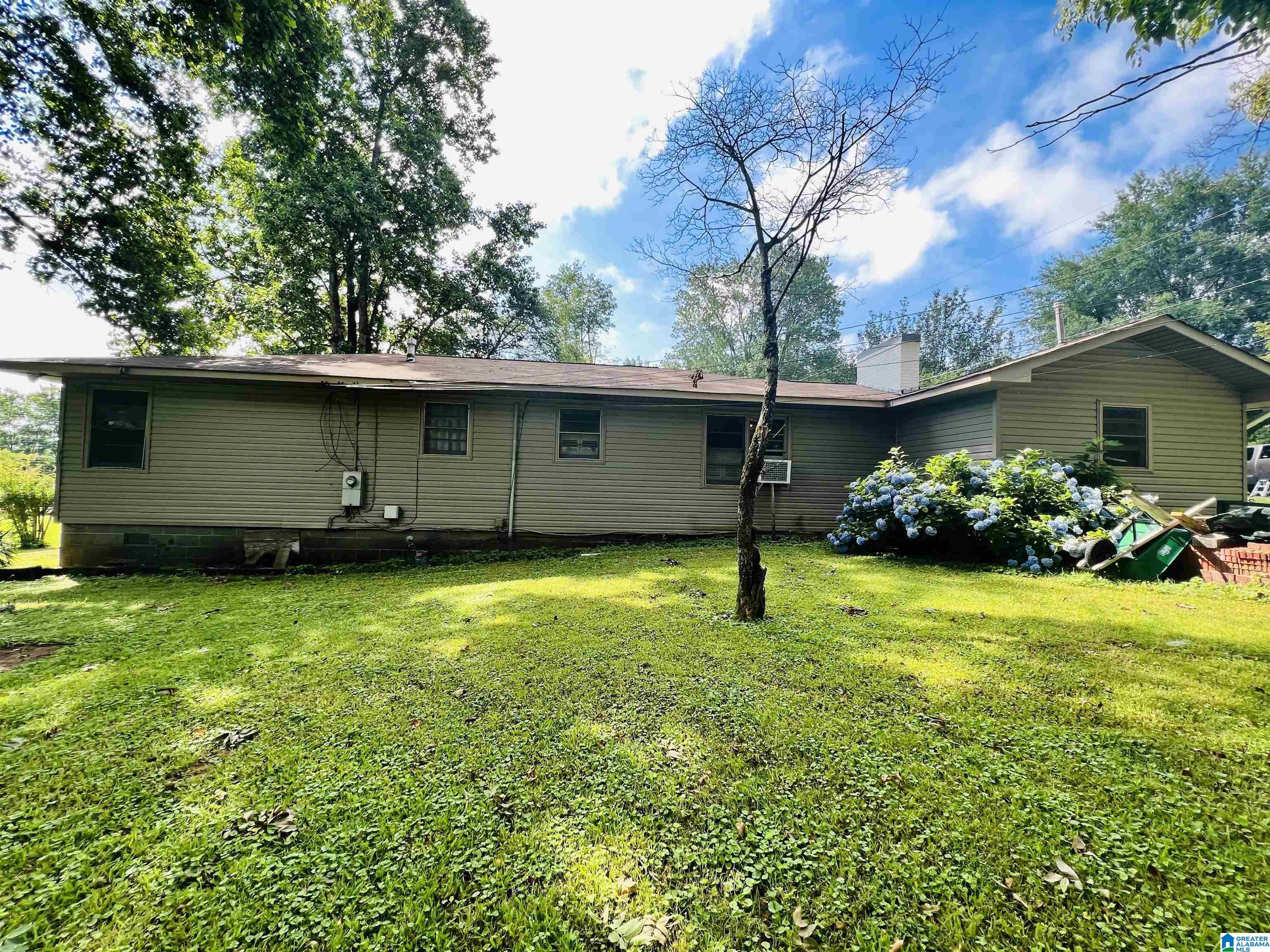 8601 Joy Road Blountsville, AL 35031 - Photo 2 of 13