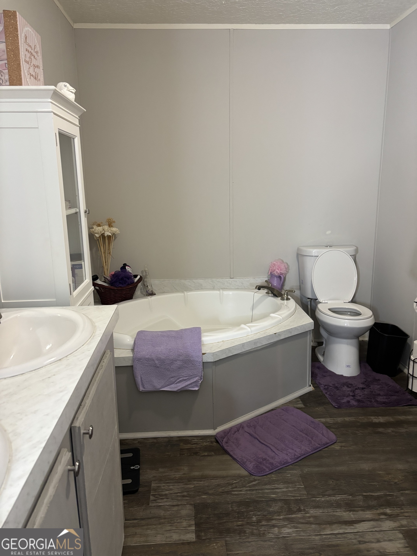 381 Dixon Road Sparta, GA 31087 - Photo 8 of 11