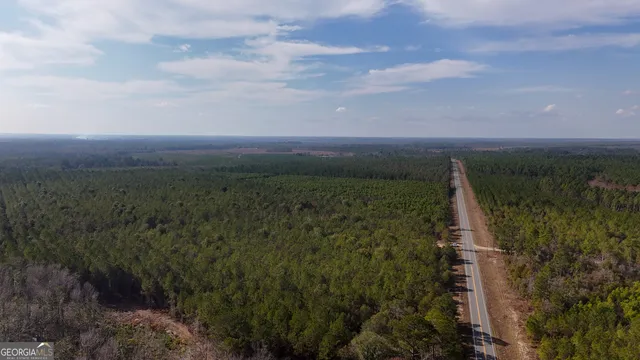 $850,000 | 0 Bells Ferry Road, Lumber City, GA 31549