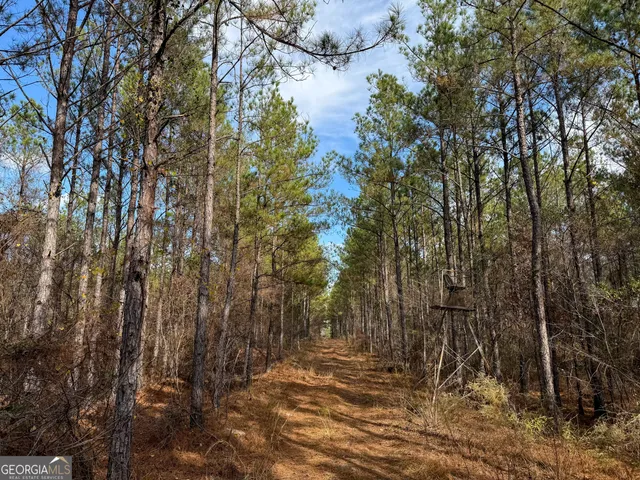 a view of mountain view