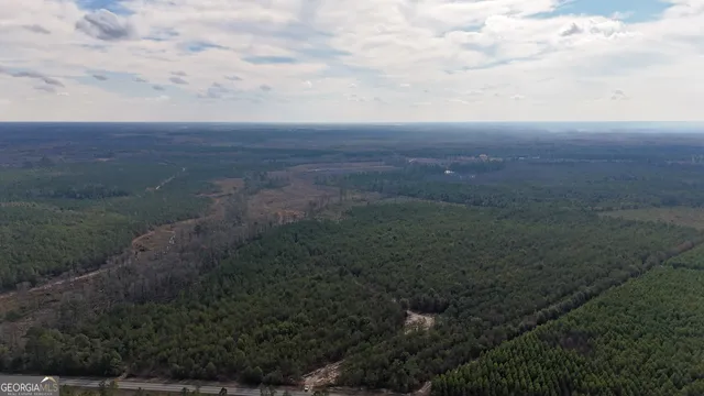 a view of a lush green forest with a house