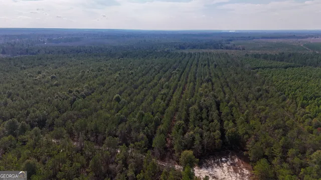 a view of a dry yard