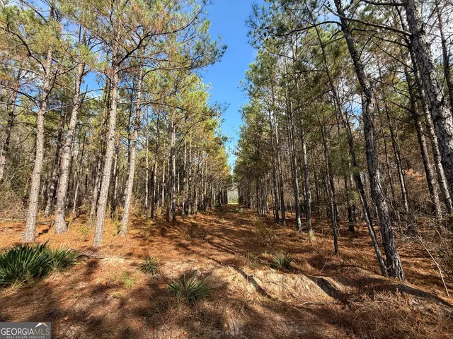 a view of outdoor space with trees