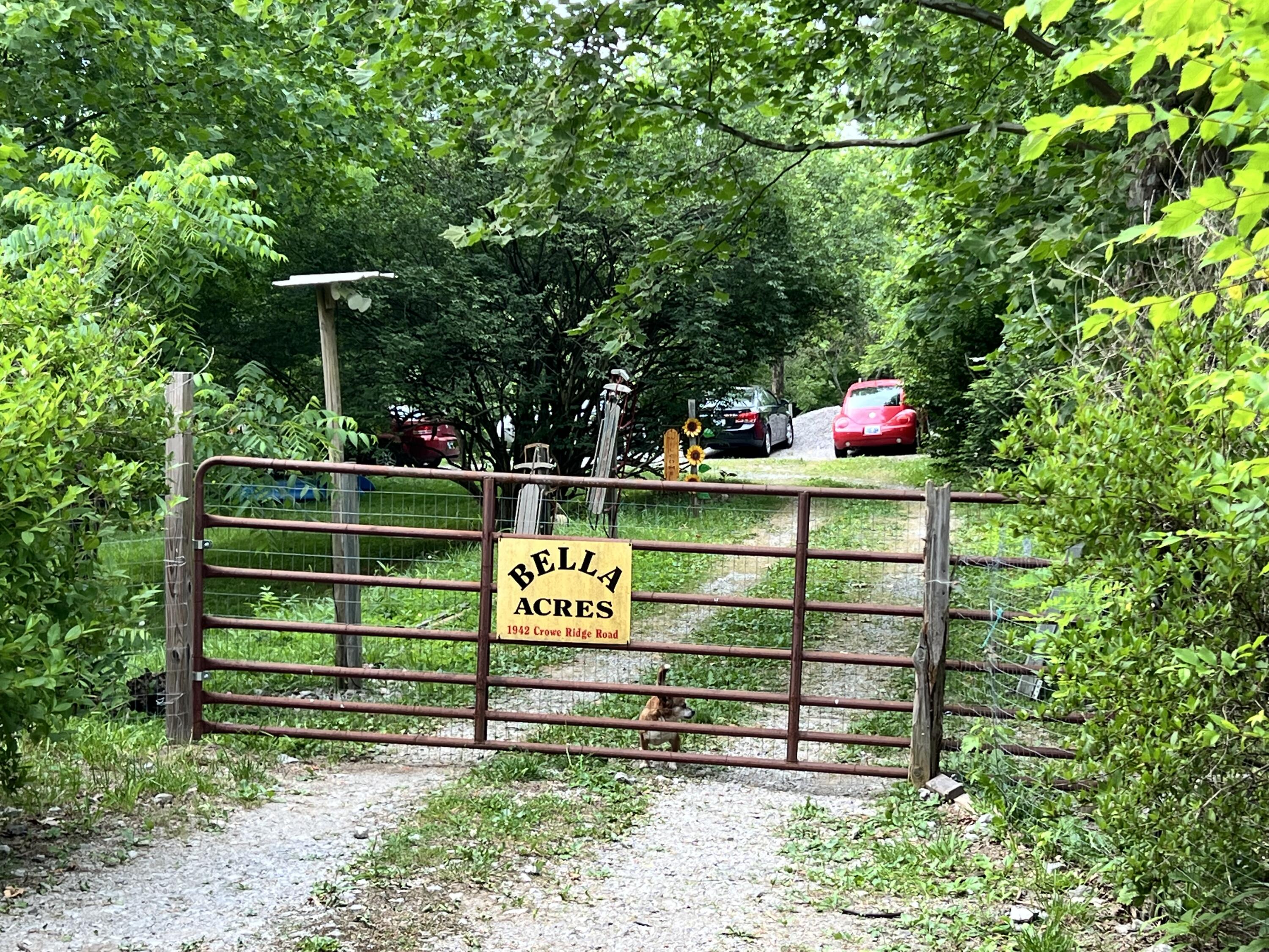 1942 Crowe Ridge Road Winchester, KY 40391 - Photo 6 of 17 IMG_0821