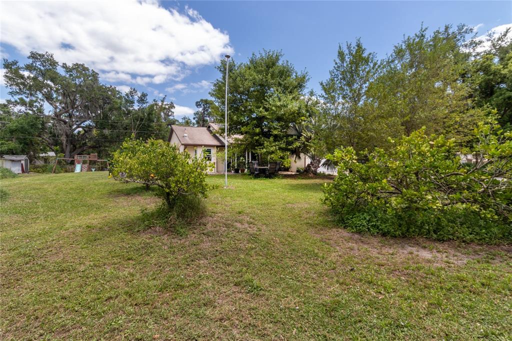 5910 Bella Road Parrish, FL 34219 - Photo 35 of 57 a view of a big yard with plants and a large tree