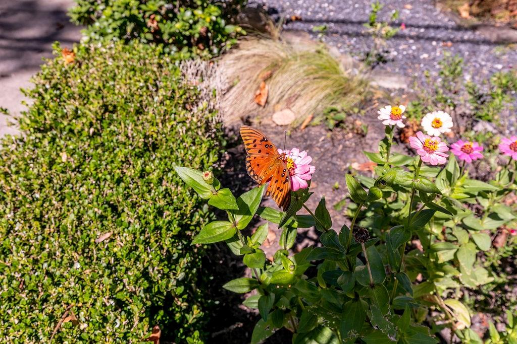 1084 Sanders Avenue Southeast, Unit AB Atlanta, GA 30316 - Photo 8 of 76